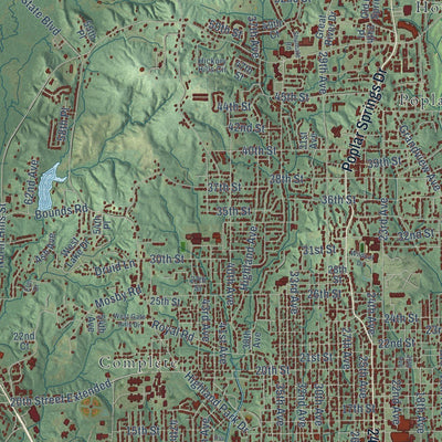 Close-up of the map of Meridian, Mississippi print showing street and building detail
