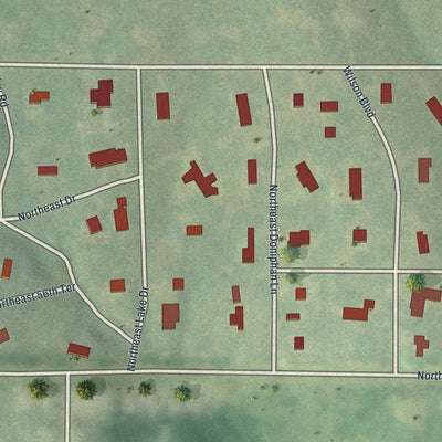 Close-up of the map of Oaks, Missouri print showing street and building detail