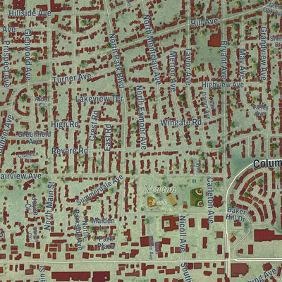 Close-up of the map of Glen Ellyn, Illinois print showing street and building detail