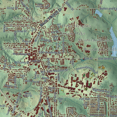 Close-up of the map of Troy, Alabama print showing street and building detail