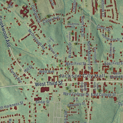 Close-up of the map of Jackson, Georgia print showing street and building detail