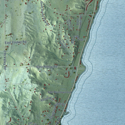 Close-up of the map of Bingham, Leelanau County, Michigan print showing street and building detail