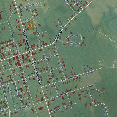 Close-up of the map of Magnolia, North Carolina print showing street and building detail
