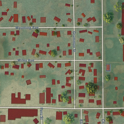Close-up of the map of Paw Paw, Illinois print showing street and building detail