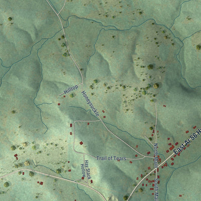 Close-up of the map of Franklin, Arkansas print showing street and building detail