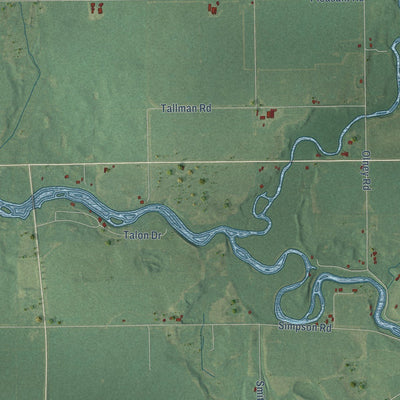 Close-up of the map of Leonidas, Michigan print showing street and building detail