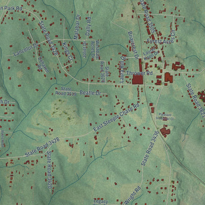 Close-up of the map of Pleasant Garden, North Carolina print showing street and building detail