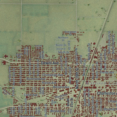 Close-up of the map of Mattoon, Illinois print showing street and building detail