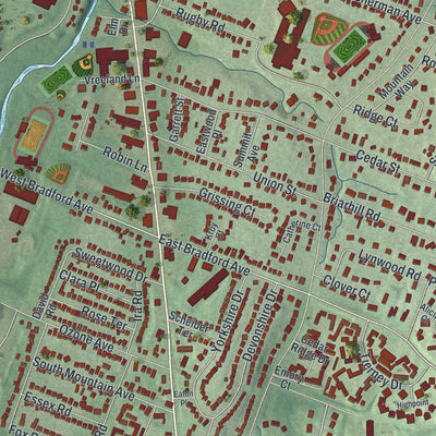 Close-up of the map of Cedar Grove, New Jersey print showing street and building detail