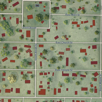 Close-up of the map of Mount Auburn, Illinois print showing street and building detail