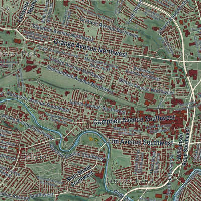 Close-up of the map of Roanoke, Virginia print showing street and building detail