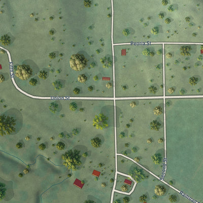 Close-up of the map of Anoka, Nebraska print showing street and building detail