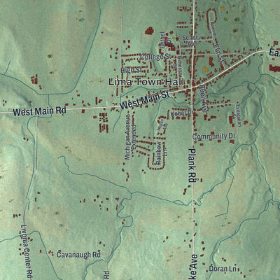 Close-up of the map of the Town of Lima, New York print showing street and building detail