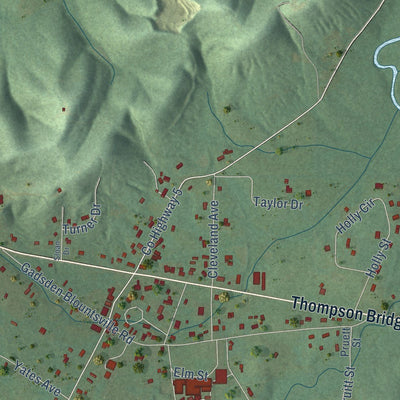 Close-up of the map of Walnut Grove, Alabama print showing street and building detail