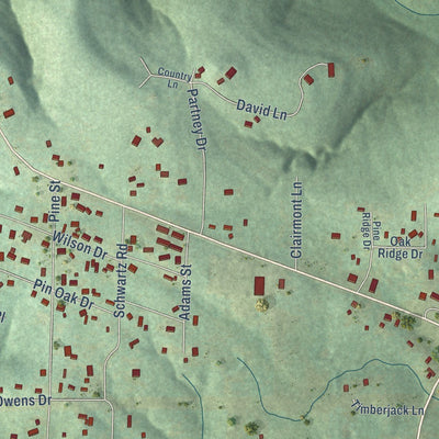 Close-up of the map of Salesville, Arkansas print showing street and building detail
