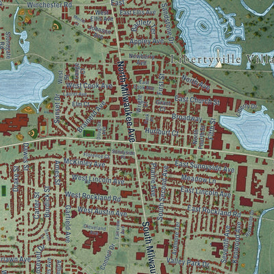 Close-up of the map of Libertyville, Illinois print showing street and building detail