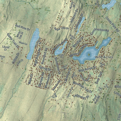 Close-up of the map of Delaware, Pike County, Pennsylvania print showing street and building detail