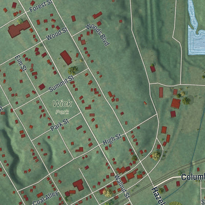 Close-up of the map of Leetonia, Ohio print showing street and building detail