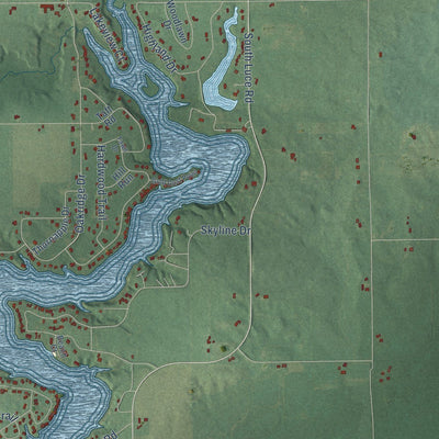 Close-up of the map of Fulton, Michigan print showing street and building detail
