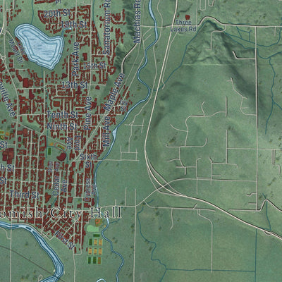 Close-up of the map of Snohomish, Washington print showing street and building detail