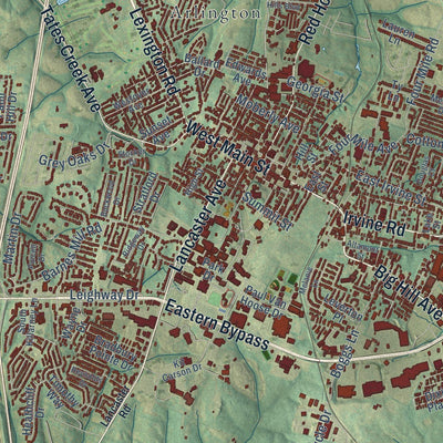 Close-up of the map of Richmond, Kentucky print showing street and building detail