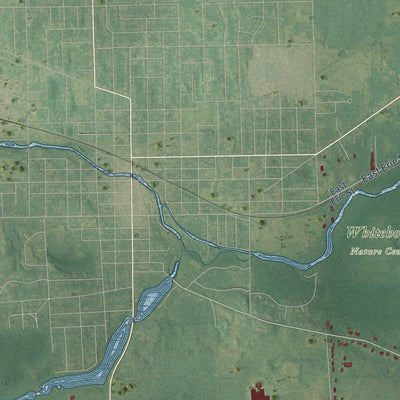Close-up of the map of Albion, Calhoun County, Michigan print showing street and building detail