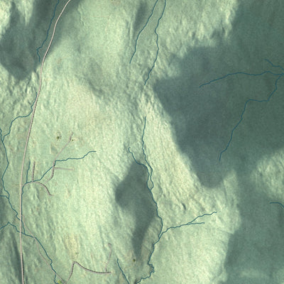 Close-up of the map of Wardsboro, Vermont print showing street and building detail