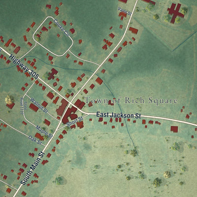 Close-up of the map of Rich Square, North Carolina print showing street and building detail