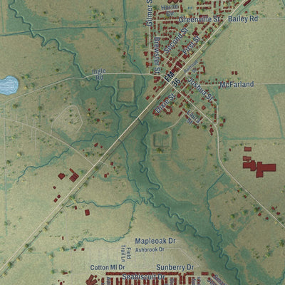 Close-up of the map of Caddo Mills, Texas print showing street and building detail
