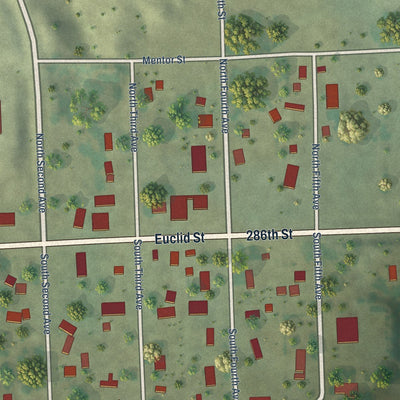 Close-up of the map of Olivet, South Dakota print showing street and building detail