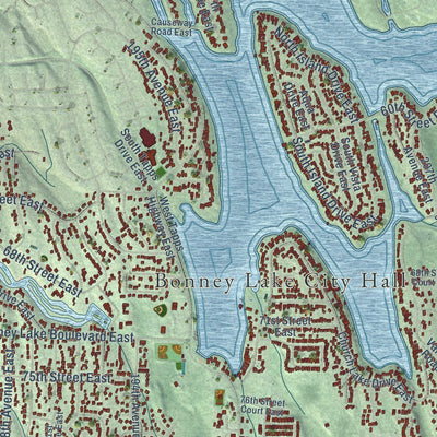 Close-up of the map of Bonney Lake, Washington print showing street and building detail
