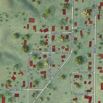 Close-up of the map of Loraine, Illinois print showing street and building detail
