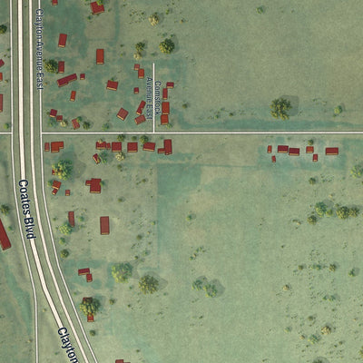 Close-up of the map of Coates, Minnesota print showing street and building detail