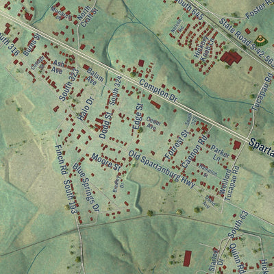 Close-up of the map of Wellford, South Carolina print showing street and building detail