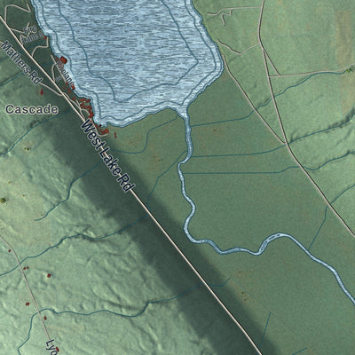 Close-up of the map of Venice, New York print showing street and building detail