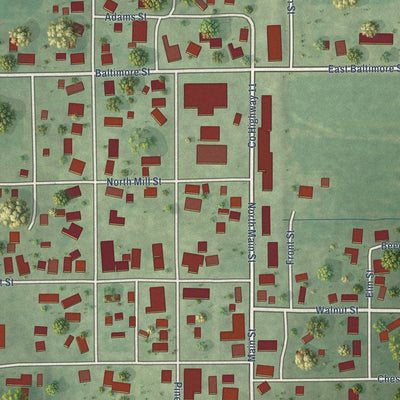 Close-up of the map of Flat Rock, Illinois print showing street and building detail