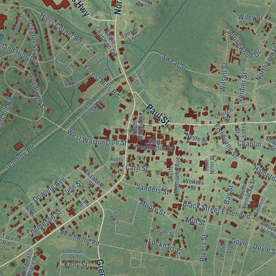 Close-up of the map of Walterboro, South Carolina print showing street and building detail