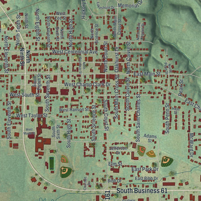 Close-up of the map of Bowling Green, Missouri print showing street and building detail