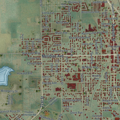 Close-up of the map of Dade City, Florida print showing street and building detail
