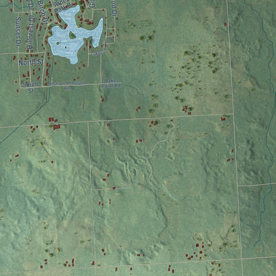 Close-up of the map of Dayton, Tuscola County, Michigan print showing street and building detail