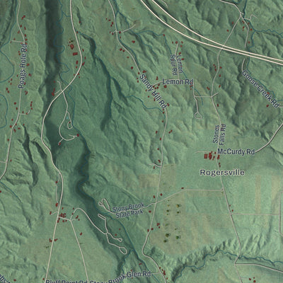Close-up of the map of Dansville, Steuben County, New York print showing street and building detail