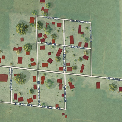 Close-up of the map of Hidalgo, Illinois print showing street and building detail