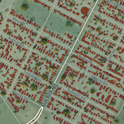 Close-up of the map of Alum Rock, California print showing street and building detail