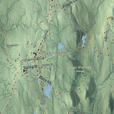 Close-up of the map of Petersham, Massachusetts print showing street and building detail