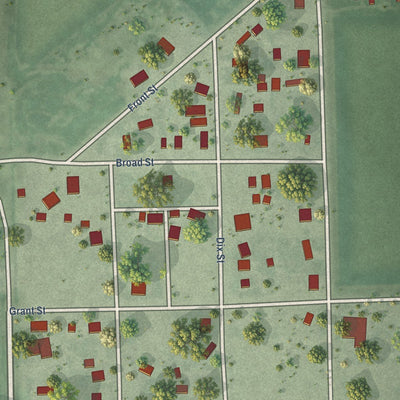 Close-up of the map of Octavia, Nebraska print showing street and building detail