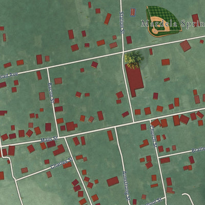 Close-up of the map of Mardela Springs, Maryland print showing street and building detail