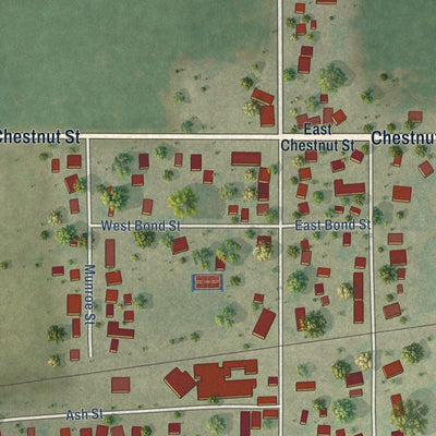 Close-up of the map of Bondville, Illinois print showing street and building detail