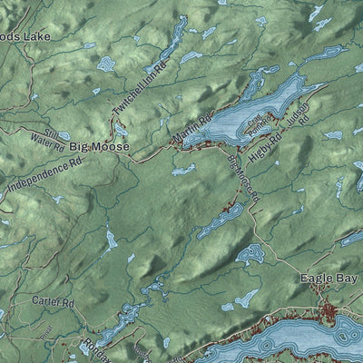 Close-up of the map of Webb, New York print showing street and building detail
