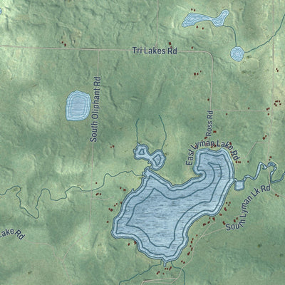 Close-up of the map of Oakland, Douglas County, Wisconsin print showing street and building detail