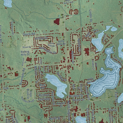 Close-up of the map of Holly, Oakland County, Michigan print showing street and building detail